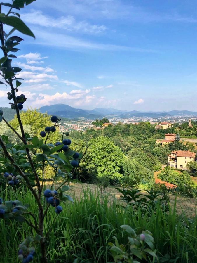 Foresteria Antica Bastia B&B Бергамо Экстерьер фото